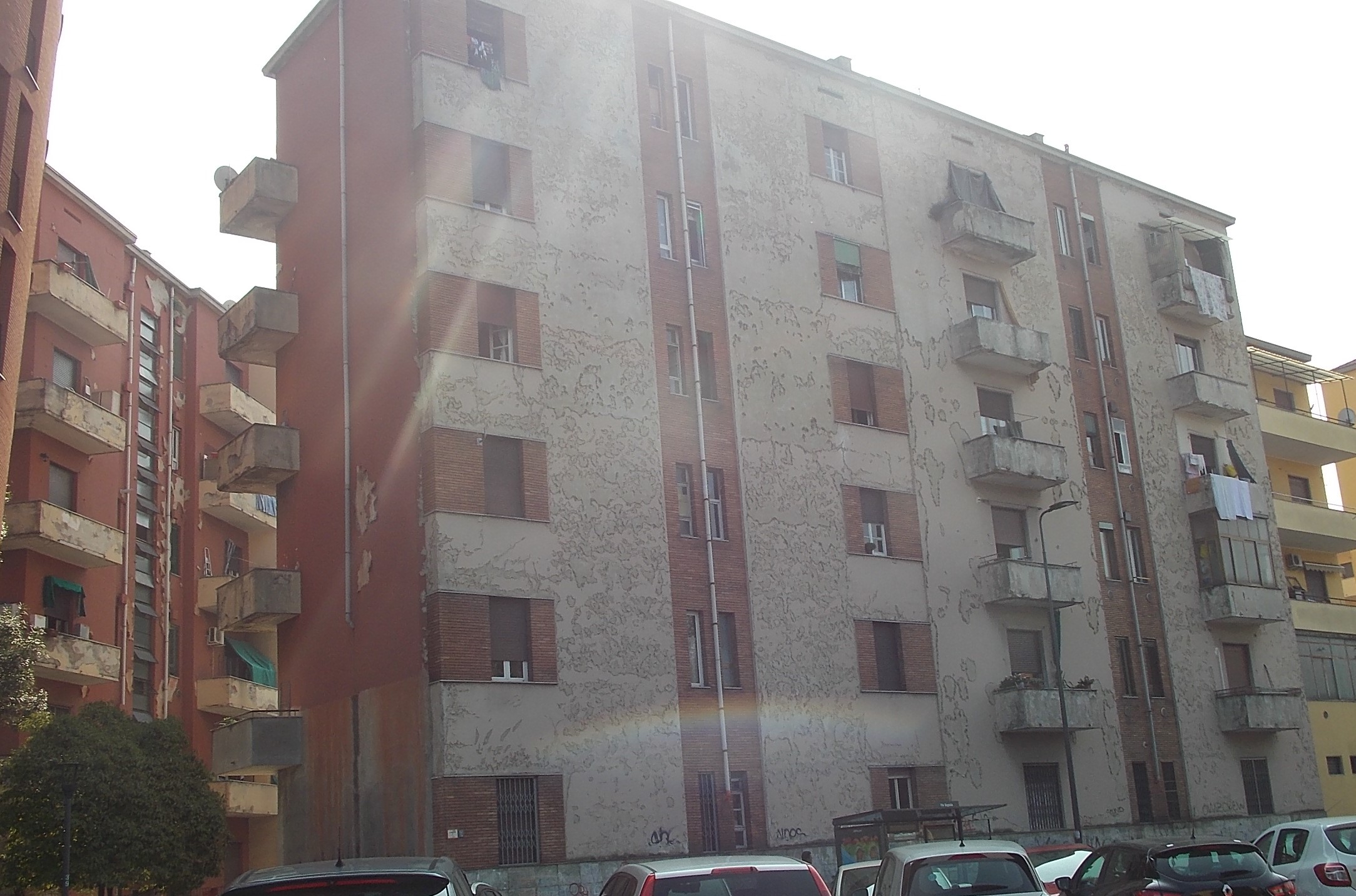 DSCN0881